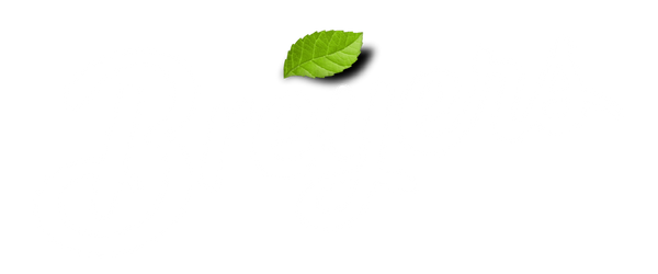 Breyers Brand Logo