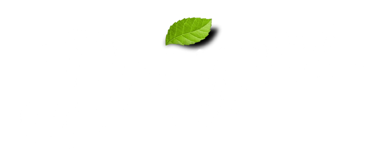 Breyers Brand Logo